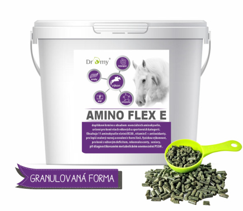 DROMY AMINO FLEX E 6000 G