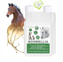 DROMY BOSWELLIA SERRATA 1000ml