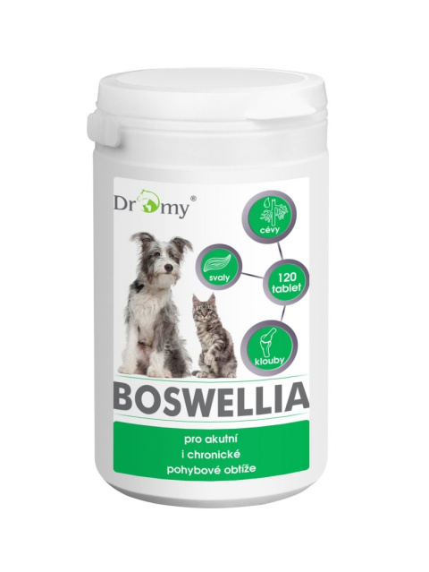 DROMY BOSWELLIA SERRATA 120 tabl.