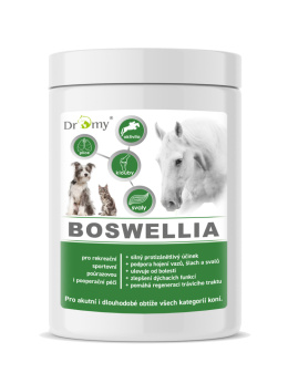 DROMY BOSWELLIA SERRATA FORTE 750 g