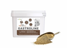 DROMY GASTROLINE 3000 g