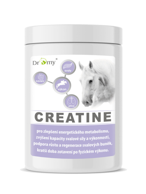 DROMY KREATYNA 1000 g DROMY KREATYNA 1000 g