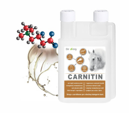 DROMY L-KARNITYNA 1000 ml