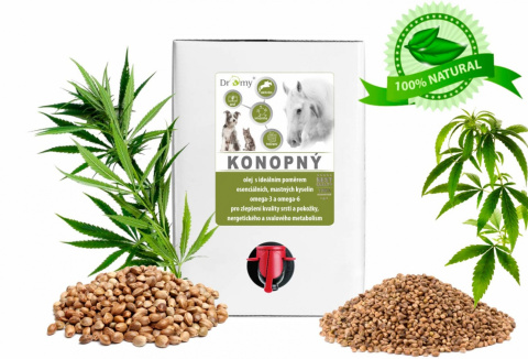 DROMY OLEJ KONOPNY DLA KONI 3000 ml DROMY OLEJ KONOPNY DLA KONI 3000 ml