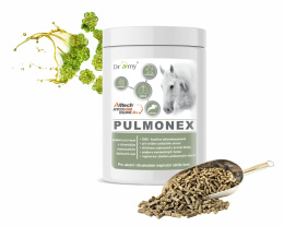 DROMY PULMONEX 1500 g