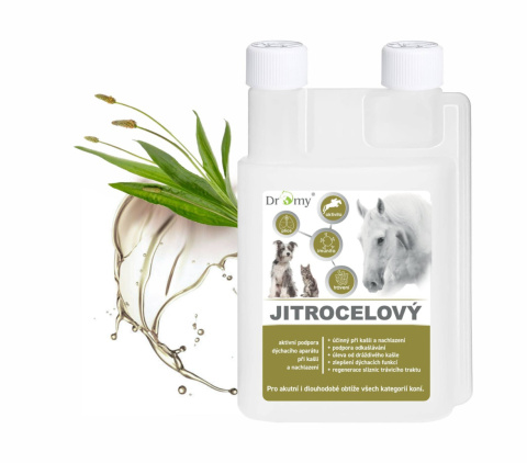 DROMY SYROP Z BABKI LANCETOWATEJ 1000 ml DROMY SYROP Z BABKI LANCETOWATEJ 1000 ml