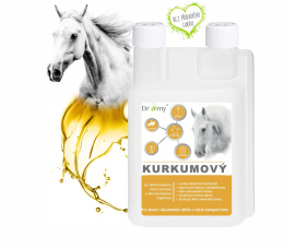 DROMY SYROP Z KURKUMY 1000 ml