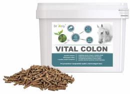 DROMY VITAL COLON NA BIEGUNKI 3300 g