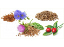 DROMY OMEGA BARF 500g + 20% GRATIS !!!
